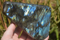 Polished Labradorite Standing Free Forms x 2 From Tulear, Madagascar