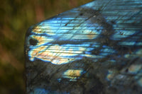 Polished Labradorite Standing Free Forms x 2 From Tulear, Madagascar