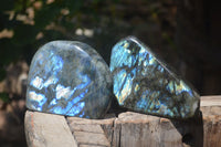 Polished Labradorite Standing Free Forms x 2 From Tulear, Madagascar