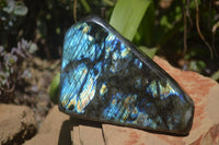 Polished Labradorite Standing Free Forms x 2 From Tulear, Madagascar