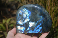 Polished Labradorite Standing Free Forms x 2 From Tulear, Madagascar