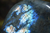 Polished Labradorite Standing Free Forms x 2 From Tulear, Madagascar