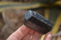 Natural Alluvial Schorl Black Tourmaline Crystals x 12 From Zimbabwe