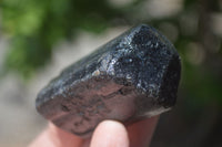 Natural Alluvial Schorl Black Tourmaline Crystals x 12 From Zimbabwe