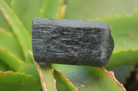 Natural Alluvial Schorl Black Tourmaline Crystals x 12 From Zimbabwe