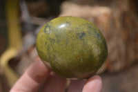 Polished Green Opal Palm Stones x 12 From Madagascar