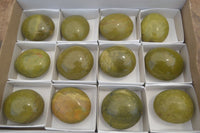 Polished Green Opal Palm Stones x 12 From Madagascar