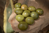 Polished Green Opal Palm Stones x 12 From Madagascar