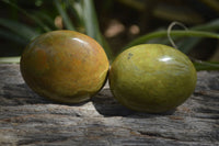 Polished Green Opal Palm Stones x 12 From Madagascar