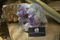 Natural Jacaranda Amethyst Quartz Cluster x 1 from Mumbwa, Zambia