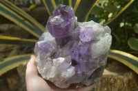 Natural Jacaranda Amethyst Quartz Cluster x 1 from Mumbwa, Zambia