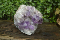 Natural Jacaranda Amethyst Quartz Cluster x 1 from Mumbwa, Zambia