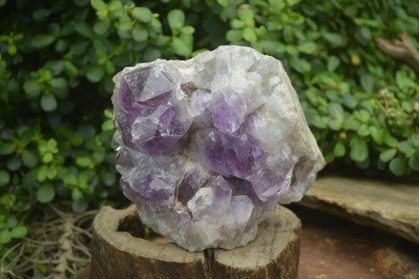 Natural Jacaranda Amethyst Quartz Cluster x 1 from Mumbwa, Zambia