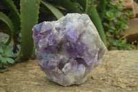 Natural Jacaranda Amethyst Quartz Cluster x 1 from Mumbwa, Zambia