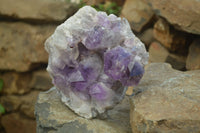 Natural Jacaranda Amethyst Quartz Cluster x 1 from Mumbwa, Zambia