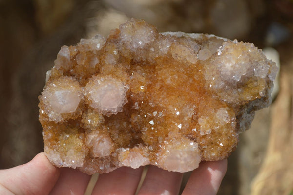 Natural Spirit Quartz Clusters x 6 From Boekenhouthoek, South Africa