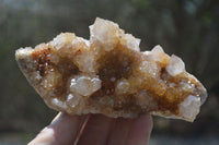 Natural Spirit Quartz Clusters x 6 From Boekenhouthoek, South Africa