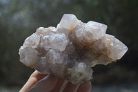 Natural Spirit Quartz Clusters x 6 From Boekenhouthoek, South Africa