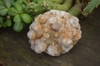 Natural Spirit Quartz Clusters x 6 From Boekenhouthoek, South Africa