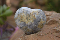 Polished Dendritic Opal Gemstone Hearts x 8 From Madagascar