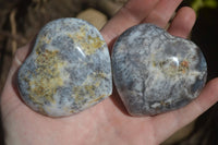 Polished Dendritic Opal Gemstone Hearts x 8 From Madagascar