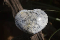 Polished Dendritic Opal Gemstone Hearts x 8 From Madagascar