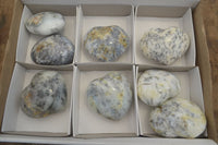 Polished Dendritic Opal Gemstone Hearts x 8 From Madagascar