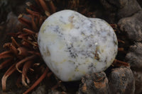 Polished Dendritic Opal Gemstone Hearts x 8 From Madagascar