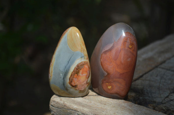 Polished Polychrome Jasper Standing Free Forms x 6 From Mahajanga, Madagascar