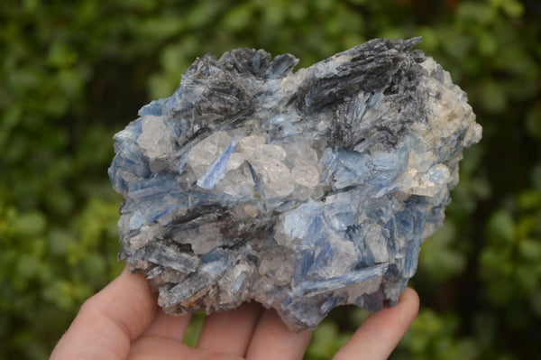 Natural Kyanite Matrix Specimens x 2 From Zimbabwe