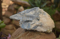 Natural Kyanite Matrix Specimens x 2 From Zimbabwe