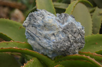 Natural Kyanite Matrix Specimens x 2 From Zimbabwe