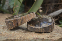 Polished Petrified Wood Slices x 5 From Gokwe, Zimbabwe