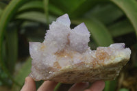 Natural Ametrine Spirit Quartz Cluster x 1 From Boekenhouthoek, South Africa