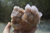 Natural Ametrine Spirit Quartz Cluster x 1 From Boekenhouthoek, South Africa