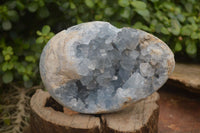 Polished Celestite Egg Geode x 1 From Sakoany, Madagascar