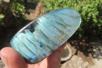 Polished Labradorite Standing Free Forms x 12 From Tulear, Madagascar