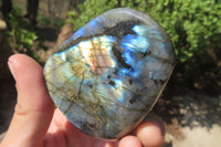 Polished Labradorite Standing Free Forms x 12 From Tulear, Madagascar