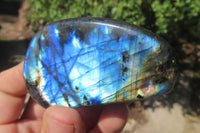 Polished Labradorite Standing Free Forms x 12 From Tulear, Madagascar