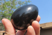 Polished Black Basalt Gemstone Eggs x 6 From Madagascar