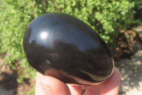 Polished Black Basalt Gemstone Eggs x 6 From Madagascar