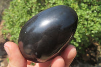 Polished Black Basalt Gemstone Eggs x 6 From Madagascar