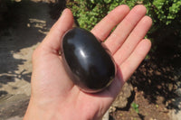 Polished Black Basalt Gemstone Eggs x 6 From Madagascar