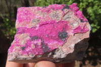 Natural Salrose Cobaltion Dolomite Specimens x 12 From Kakanda, Congo