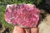 Natural Salrose Cobaltion Dolomite Specimens x 12 From Kakanda, Congo