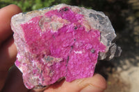 Natural Salrose Cobaltion Dolomite Specimens x 12 From Kakanda, Congo