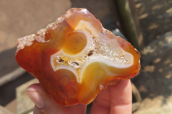 Polished On One Side River Agate Nodules x 6 From Limpopo, South Africa