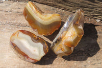 Polished On One Side River Agate Nodules x 6 From Limpopo, South Africa