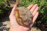 Polished On One Side River Agate Nodules x 6 From Limpopo, South Africa