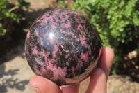 Polished Rhodonite Spheres x 3 From Ambindavato, Madagascar